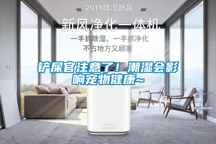 鏟屎官注意了！潮濕會影響寵物健康~