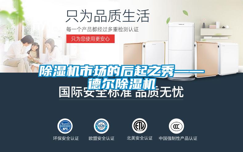 除濕機(jī)市場的后起之秀——德爾除濕機(jī)