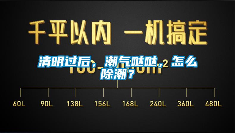 清明過后，潮氣噠噠，怎么除潮？