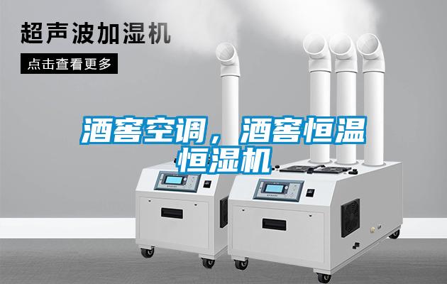 酒窖空調(diào)，酒窖恒溫恒濕機