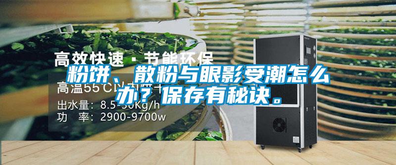 粉餅、散粉與眼影受潮怎么辦？保存有秘訣。