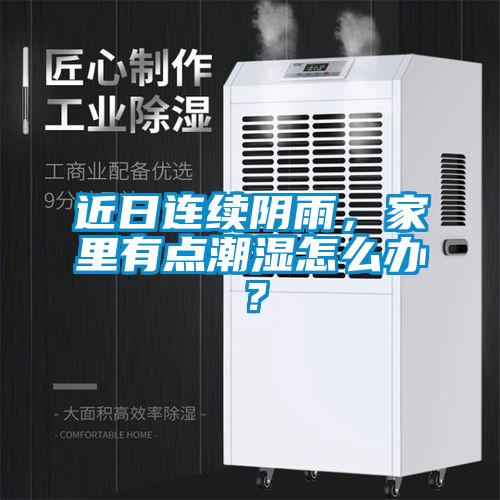 近日連續(xù)陰雨，家里有點(diǎn)潮濕怎么辦？