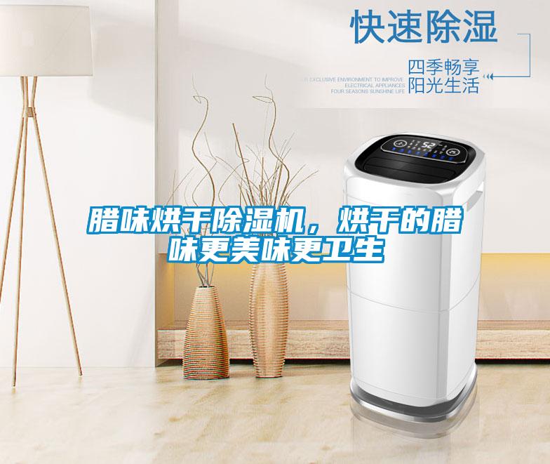 臘味烘干除濕機，烘干的臘味更美味更衛生