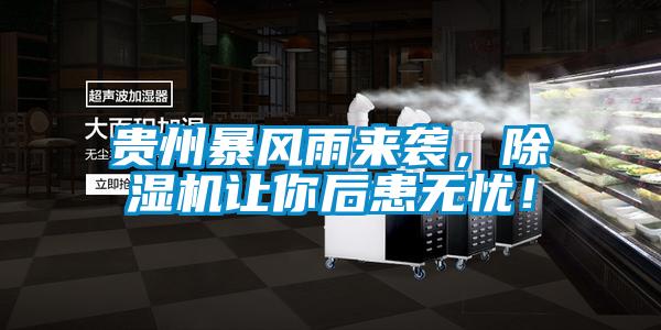 貴州暴風(fēng)雨來(lái)襲，除濕機(jī)讓你后患無(wú)憂！