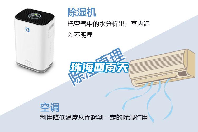 珠?；啬咸?/></p>
						    <p style=