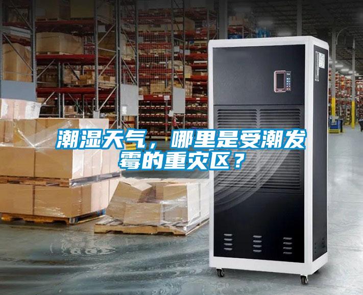 潮濕天氣，哪里是受潮發(fā)霉的重災區(qū)？