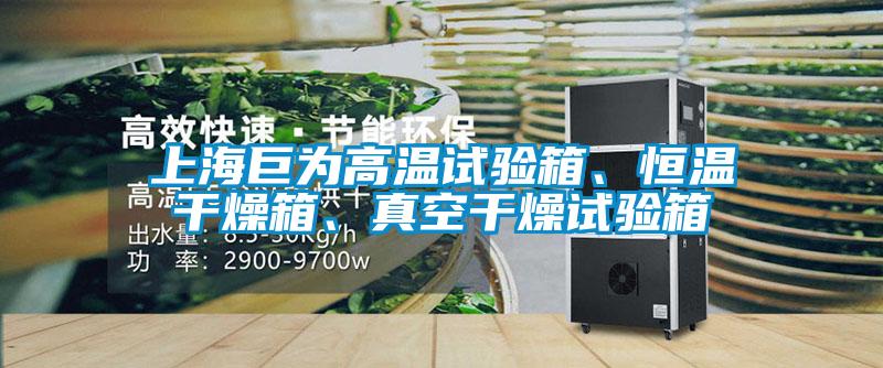 上海巨為高溫試驗箱、恒溫干燥箱、真空干燥試驗箱