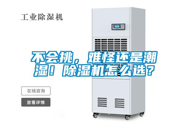 不會挑，難怪還是潮濕！除濕機怎么選？