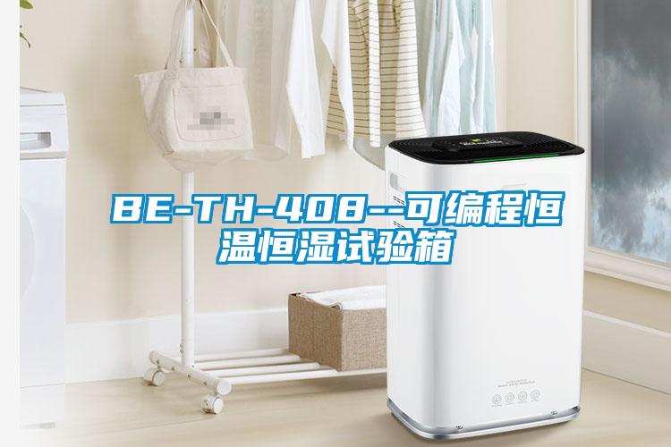 BE-TH-408--可編程恒溫恒濕試驗箱