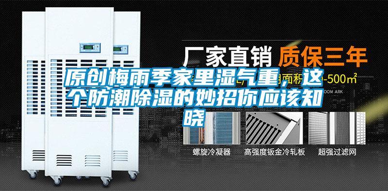 原創梅雨季家里濕氣重，這個防潮除濕的妙招你應該知曉