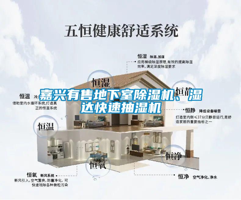 嘉興有售地下室除濕機、濕達快速抽濕機