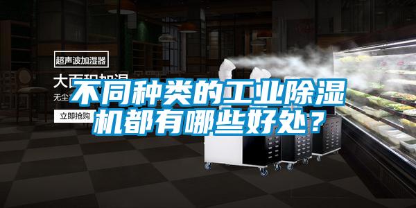 不同種類的工業除濕機都有哪些好處？