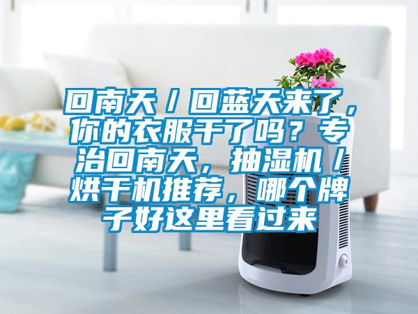 回南天／回藍天來了，你的衣服干了嗎？專治回南天，抽濕機／烘干機推薦，哪個牌子好這里看過來