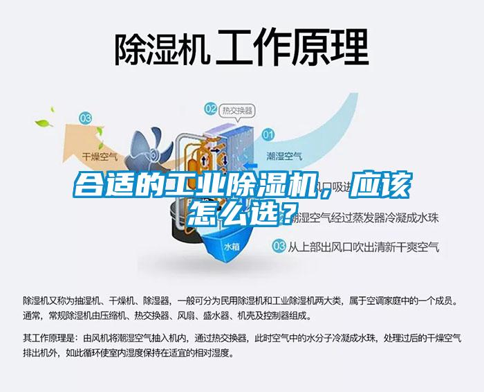 合適的工業(yè)除濕機，應(yīng)該怎么選？