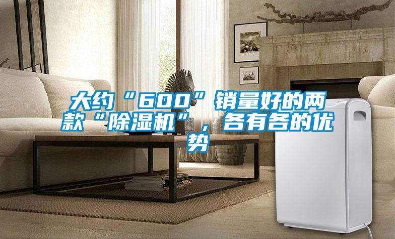 大約“600”銷量好的兩款“除濕機”，各有各的優勢