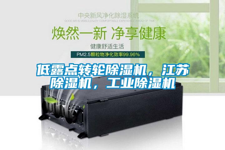 低露點(diǎn)轉(zhuǎn)輪除濕機(jī)，江蘇除濕機(jī)，工業(yè)除濕機(jī)