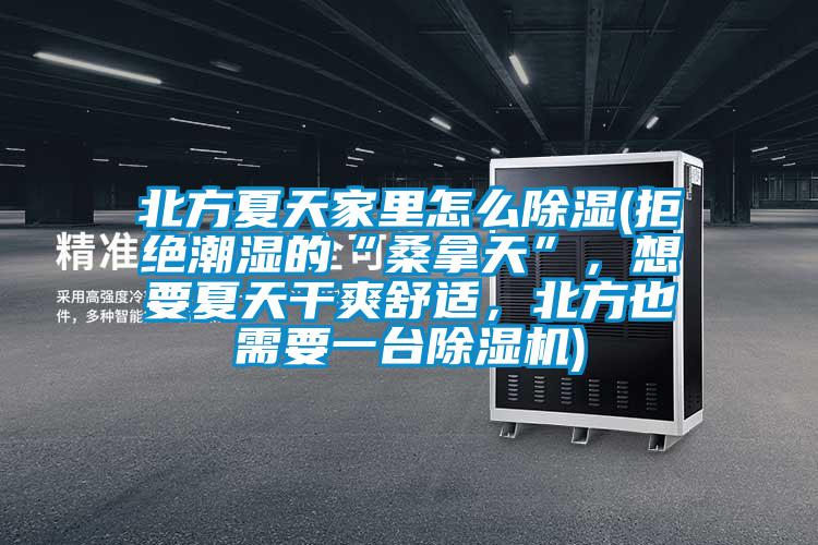 北方夏天家里怎么除濕(拒絕潮濕的“桑拿天”，想要夏天干爽舒適，北方也需要一臺除濕機)