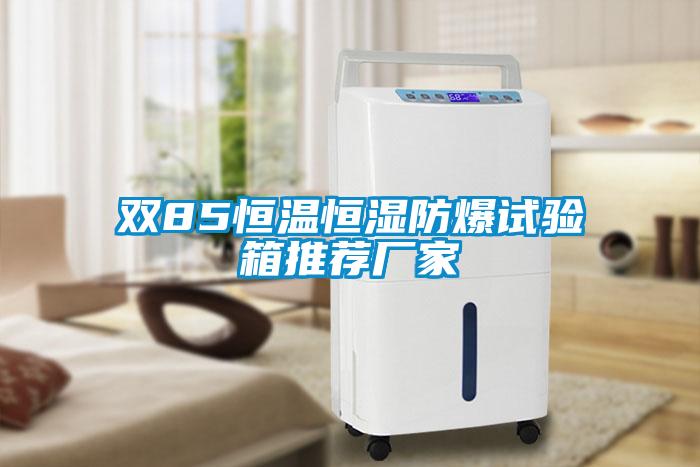 雙85恒溫恒濕防爆試驗(yàn)箱推薦廠(chǎng)家