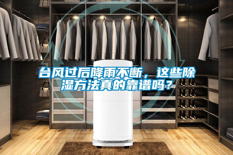 臺(tái)風(fēng)過(guò)后降雨不斷，這些除濕方法真的靠譜嗎？