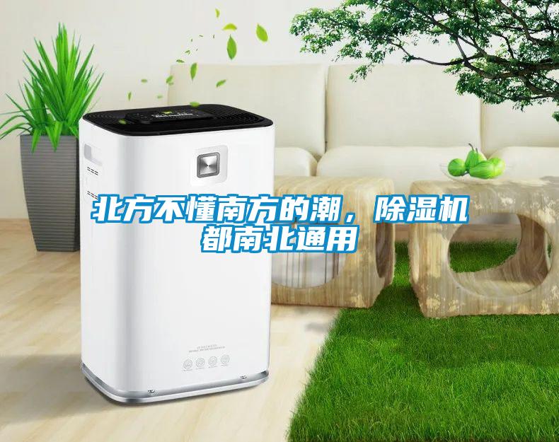 北方不懂南方的潮，除濕機都南北通用