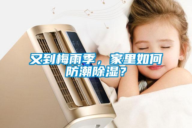 又到梅雨季，家里如何防潮除濕？