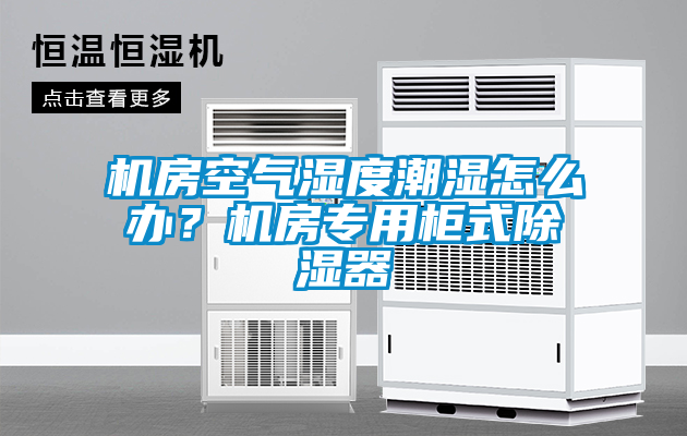 機房空氣濕度潮濕怎么辦？機房專用柜式除濕器
