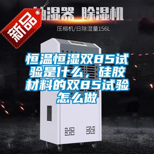 恒溫恒濕雙85試驗是什么，硅膠材料的雙85試驗怎么做