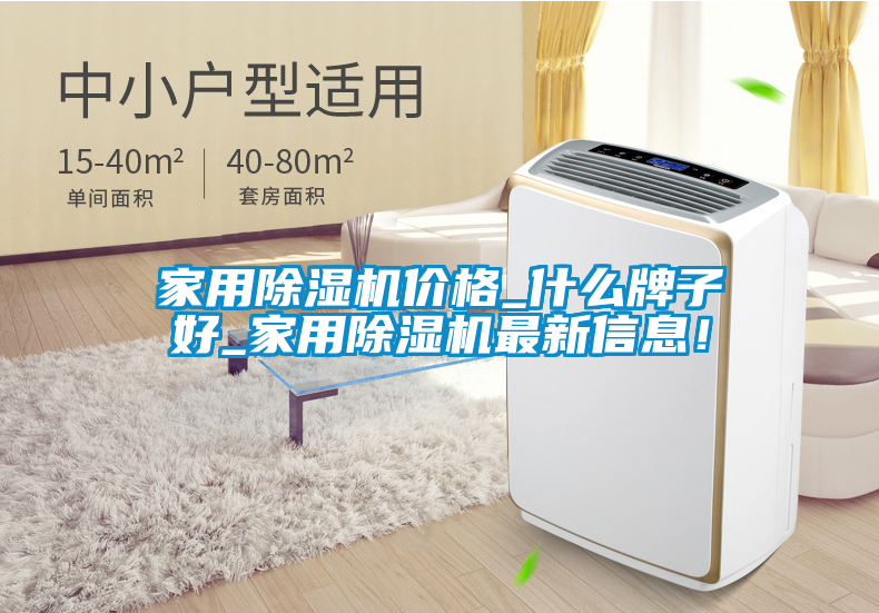 家用除濕機(jī)價(jià)格_什么牌子好_家用除濕機(jī)最新信息！