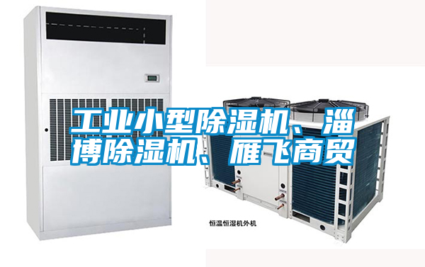 工業小型除濕機、淄博除濕機、雁飛商貿