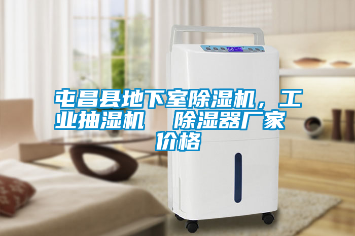 屯昌縣地下室除濕機，工業抽濕機  除濕器廠家 價格