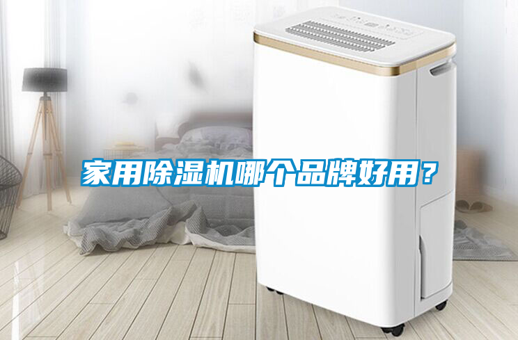 家用除濕機(jī)哪個品牌好用？