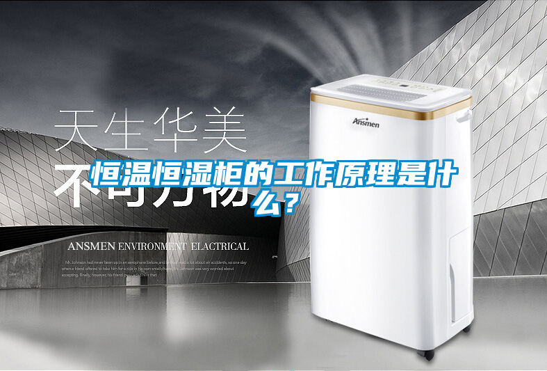 恒溫恒濕柜的工作原理是什么？