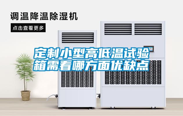 定制小型高低溫試驗箱需看哪方面優(yōu)缺點(diǎn)