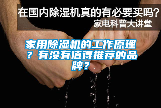 家用除濕機(jī)的工作原理？有沒有值得推薦的品牌？