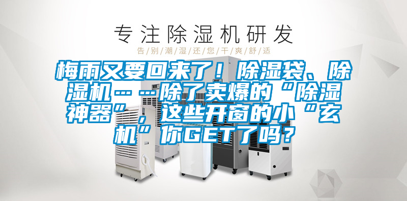 梅雨又要回來了！除濕袋、除濕機(jī)……除了賣爆的“除濕神器”，這些開窗的小“玄機(jī)”你GET了嗎？