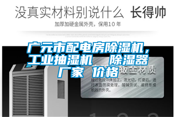 廣元市配電房除濕機，工業抽濕機  除濕器廠家 價格