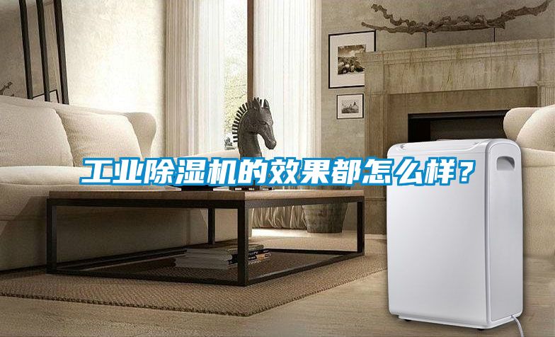 工業除濕機的效果都怎么樣？