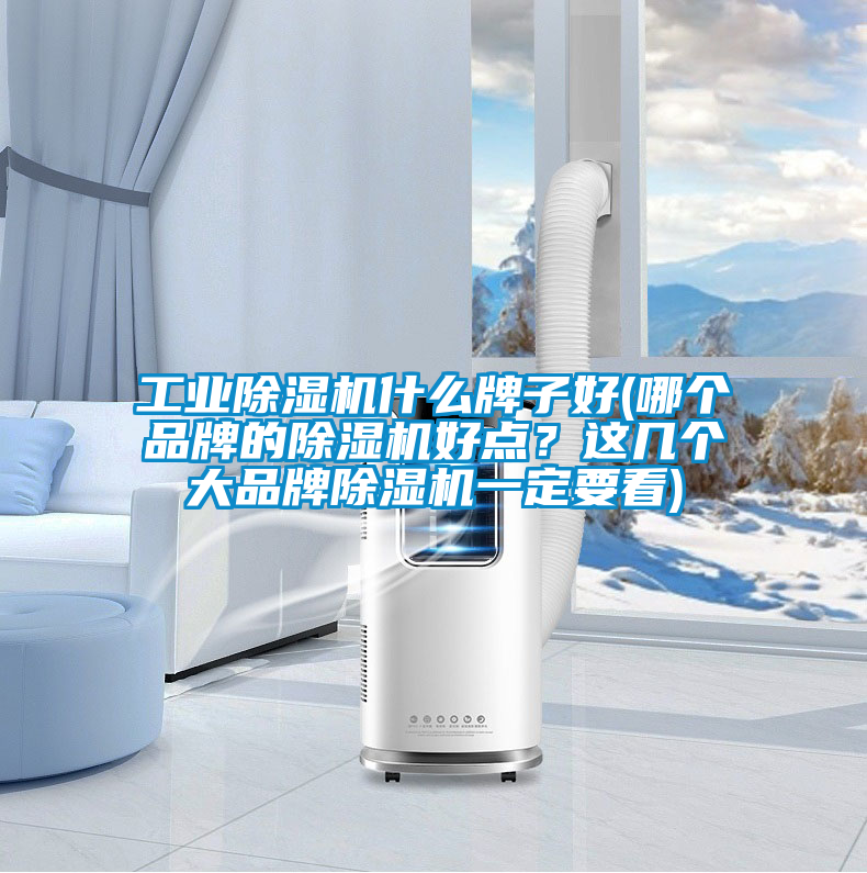 工業(yè)除濕機(jī)什么牌子好(哪個(gè)品牌的除濕機(jī)好點(diǎn)？這幾個(gè)大品牌除濕機(jī)一定要看)