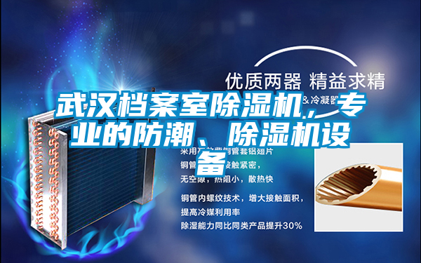 武漢檔案室除濕機(jī)，專業(yè)的防潮、除濕機(jī)設(shè)備