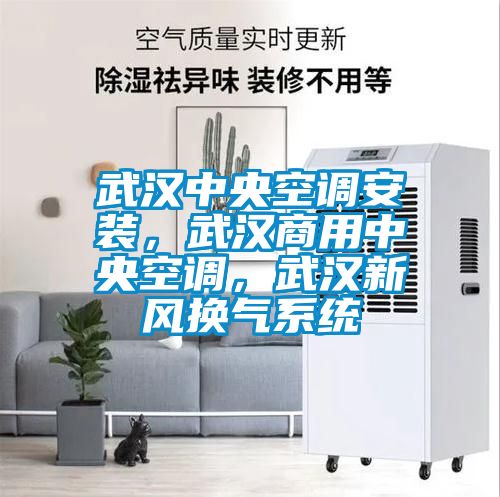 武漢中央空調安裝，武漢商用中央空調，武漢新風換氣系統