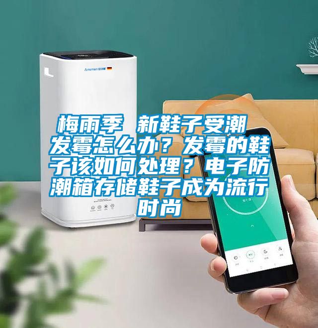 梅雨季 新鞋子受潮 發霉怎么辦？發霉的鞋子該如何處理？電子防潮箱存儲鞋子成為流行時尚