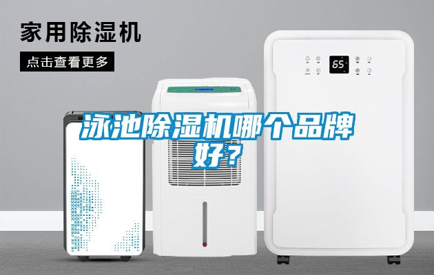 泳池除濕機哪個品牌好？
