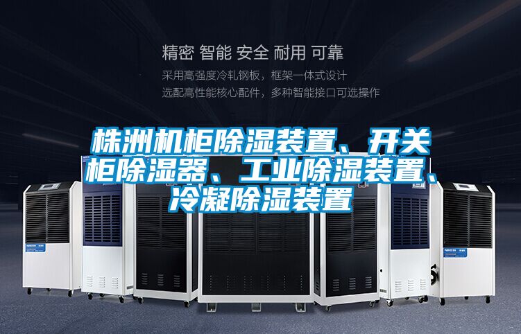 株洲機柜除濕裝置、開關(guān)柜除濕器、工業(yè)除濕裝置、冷凝除濕裝置