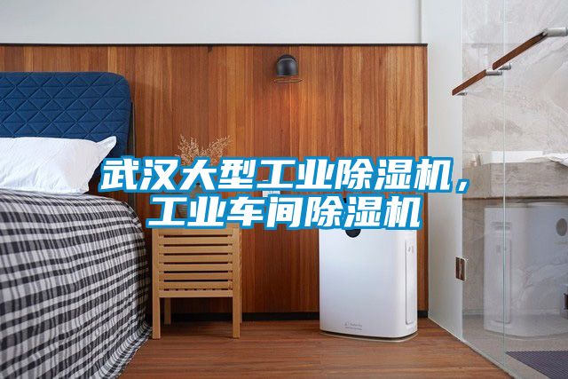 武漢大型工業(yè)除濕機(jī)，工業(yè)車(chē)間除濕機(jī)