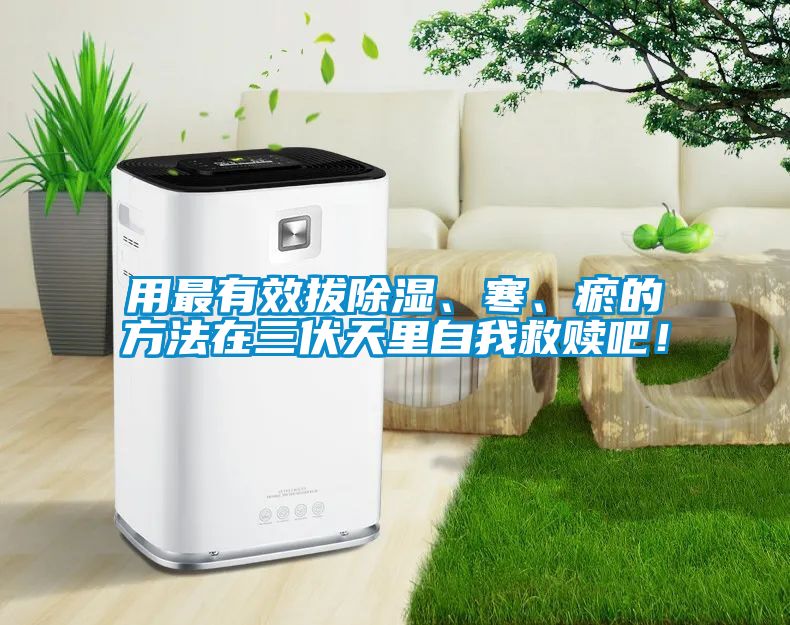 用最有效拔除濕、寒、瘀的方法在三伏天里自我救贖吧！