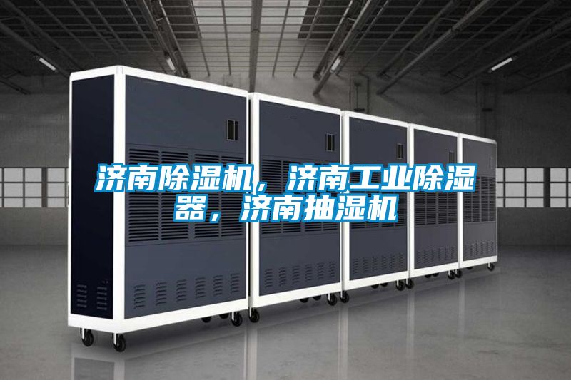 濟南除濕機，濟南工業除濕器，濟南抽濕機
