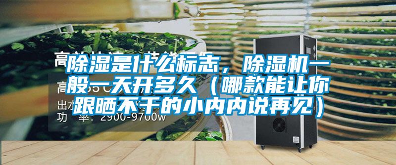 除濕是什么標志，除濕機一般一天開多久（哪款能讓你跟曬不干的小內內說再見）