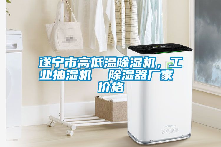 遂寧市高低溫除濕機(jī)，工業(yè)抽濕機(jī)  除濕器廠家 價(jià)格