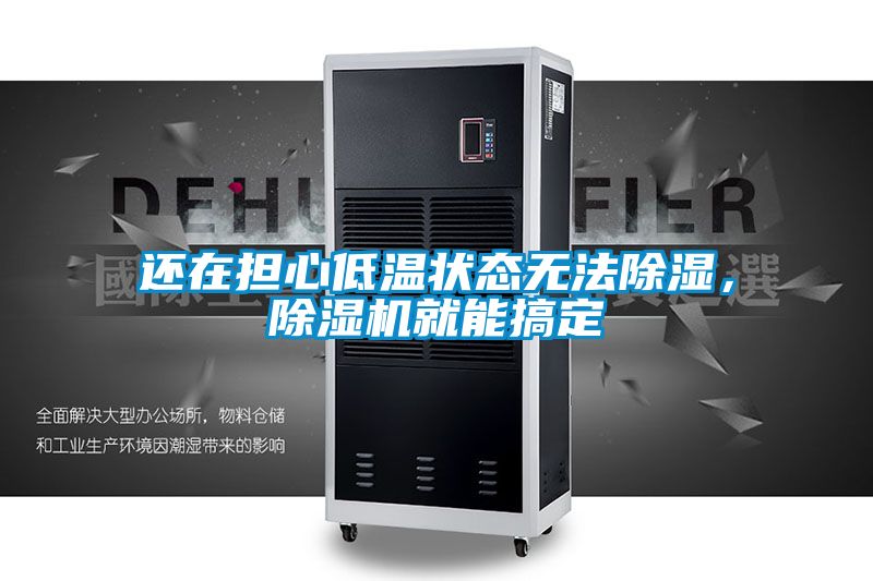 還在擔心低溫狀態無法除濕，除濕機就能搞定