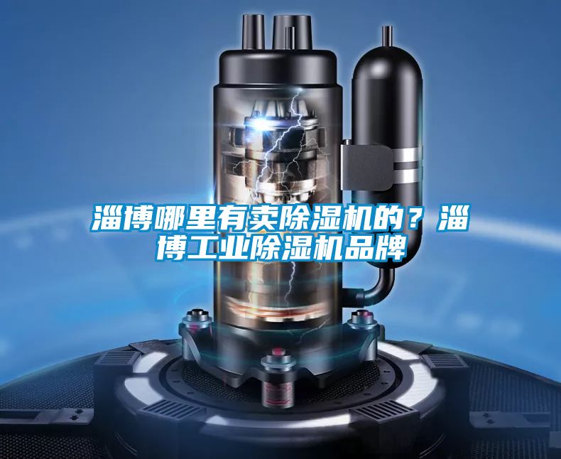 淄博哪里有賣除濕機的？淄博工業除濕機品牌
